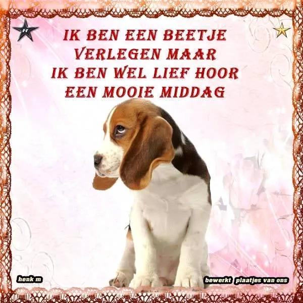 Een verlegen beaglepuppy met een schattige uitstraling.