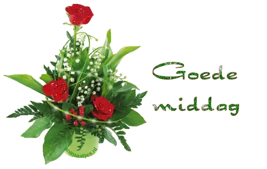 Bloemenarrangement met rode rozen en groene bladeren, met de tekst "Goedemiddag".