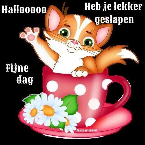 ᐅ goedemorgen afbeeldingen - Goedemorgen plaatjes Schattige kat in een grote rode mok met bloemen, zwaait en zegt hallo.