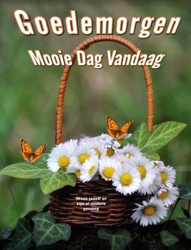 ᐅ goedemorgen afbeeldingen - Goedemorgen plaatjes Mand met bloemen en vlinders, bovenaan de tekst 'Goedemorgen, Mooie Dag Vandaag'.
