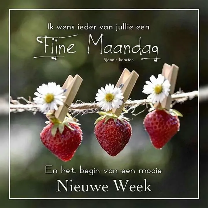ᐅ goedemorgen afbeeldingen - Goedemorgen plaatjes Drie aardbeien en madeliefjes hangen aan een lijn met de tekst “Fijne Maandag”.