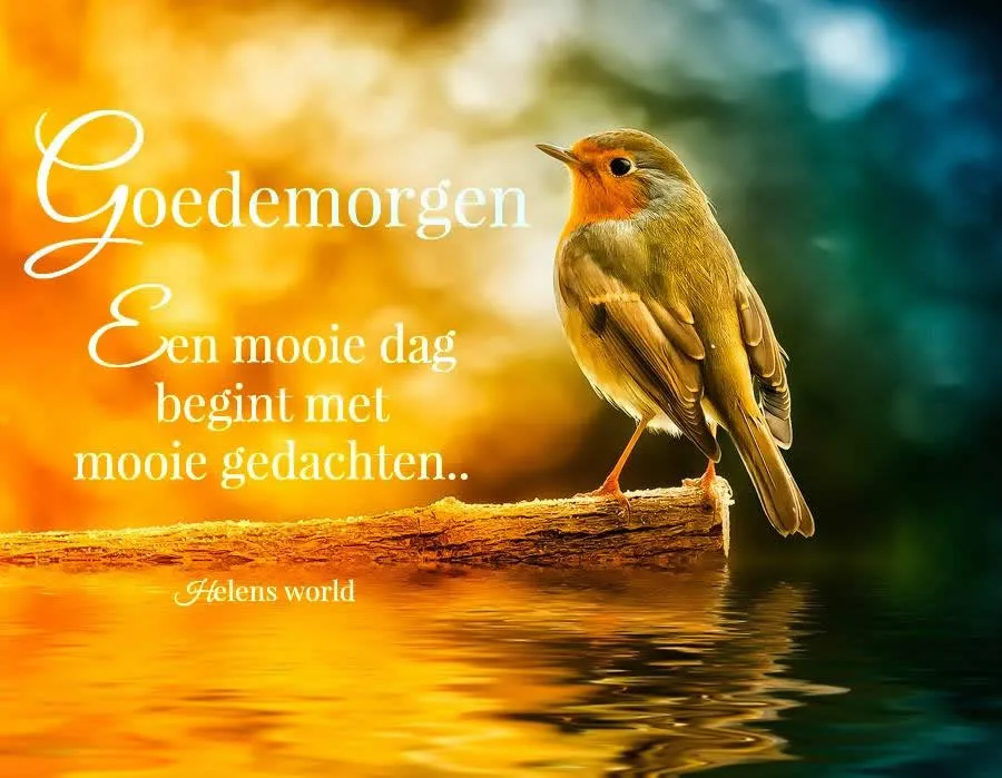 ᐅ goedemorgen afbeeldingen - Goedemorgen plaatjes Een vogel zit op een tak met de tekst "Goedemorgen" op een kleurrijke achtergrond.