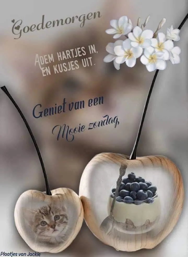 ᐅ goedemorgen afbeeldingen - Goedemorgen plaatjes Illustratie van een schattige kitten en een kom met bessen, met een goede morgen wens.