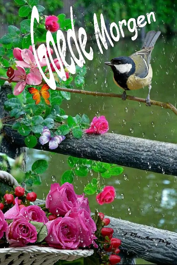 ᐅ goedemorgen afbeeldingen - Goedemorgen plaatjes Een vogel zingt op een tak met bloemen en de tekst 'Goede Morgen'.