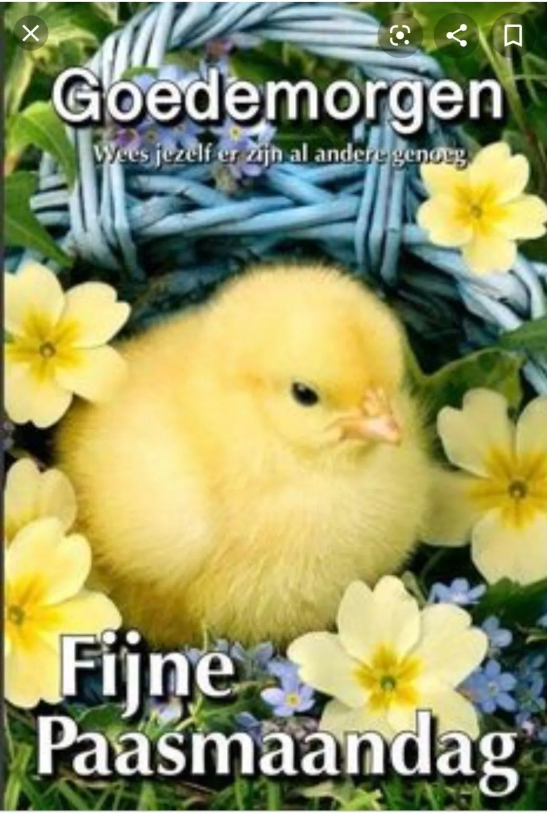 ᐅ goedemorgen afbeeldingen - Goedemorgen plaatjes Gele kuikentje in bloemen, met tekst "Goedemorgen" en "Fijne Paasmaandag".