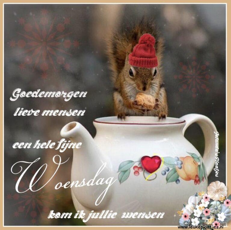 ᐅ goedemorgen afbeeldingen met tekst - Goedemorgen plaatjes