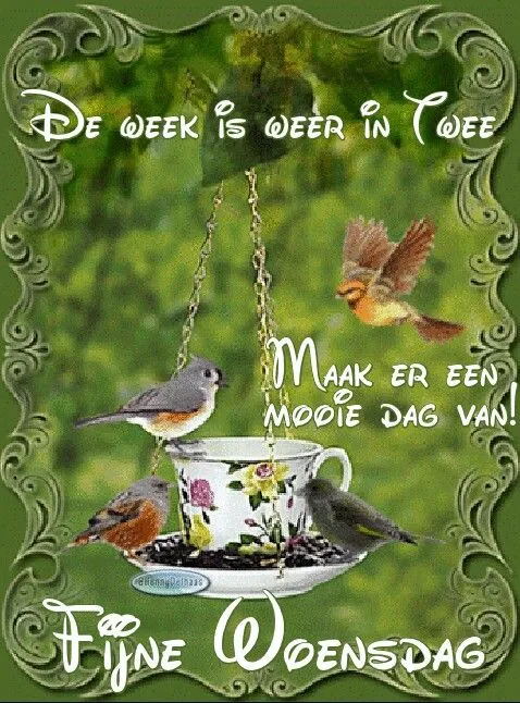 ᐅ goedemorgen afbeeldingen met tekst - Goedemorgen plaatjes Illustratie van vogels rond een theekopje met de tekst: "Fijne Woensdag!"