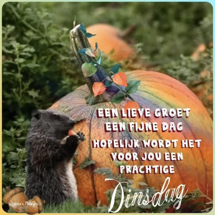 ᐅ goedemorgen afbeeldingen met tekst - Goedemorgen plaatjes Egel met een pompoen en bloemen, met tekst voor een fijne dag.