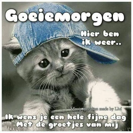 ᐅ goedemorgen afbeeldingen met tekst - Goedemorgen plaatjes Een schattige kat met een pet zegt "Goeiemorgen" en wenst je een fijne dag.