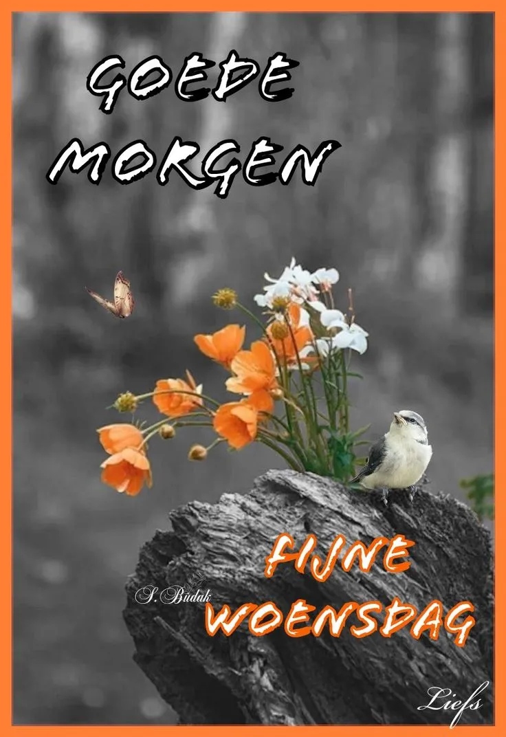 ᐅ goedemorgen afbeeldingen met tekst - Goedemorgen plaatjes Een vogel zit op een tak, omringd door oranje bloemen en een vlinder. Groetend "Goedemorgen".