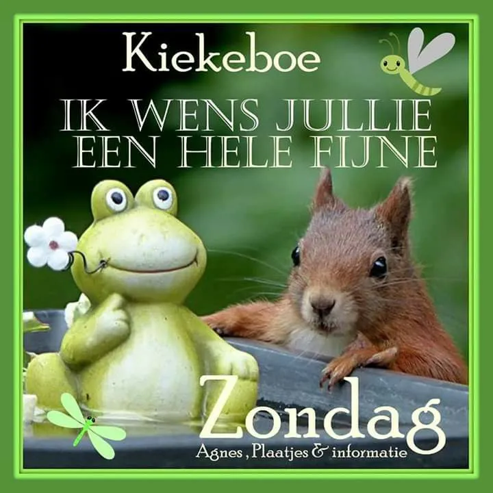 ᐅ goedemorgen afbeeldingen met tekst - Goedemorgen plaatjes Een kikker en een eekhoorn op een groene achtergrond met een vrolijke boodschap.