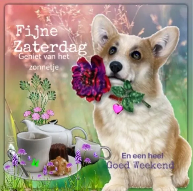 ᐅ goedemorgen afbeeldingen met tekst - Goedemorgen plaatjes Corgi met een bloem, thee en een cake, met de tekst "Fijne Zaterdag".