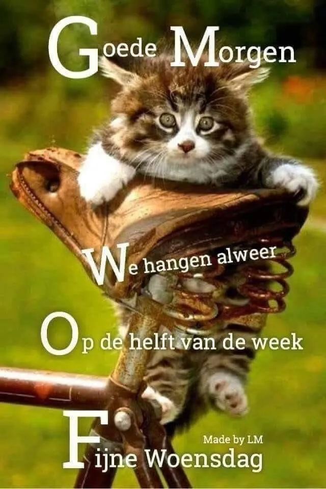 ᐅ goedemorgen afbeeldingen met tekst - Goedemorgen plaatjes Een schattige kat op een fiets met de boodschap "Goede Morgen, fijne Woensdag".