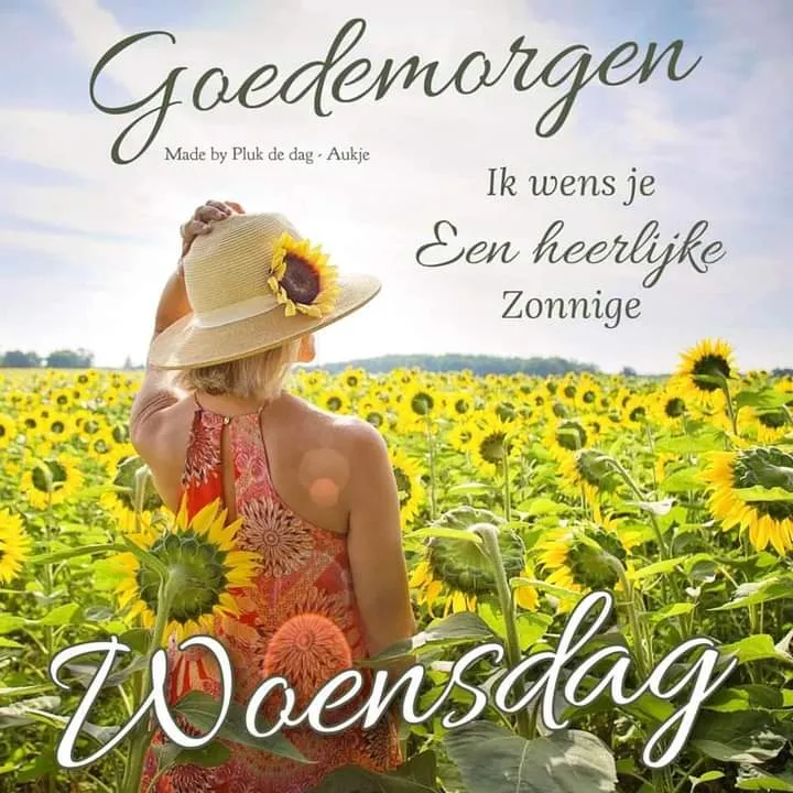 ᐅ goedemorgen allemaal - Fijne week plaatjes Vrouw in zonnebloemenveld met de tekst "Goedenmorgen, een heerlijke woensdag".