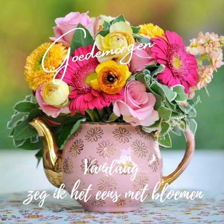 ᐅ goedemorgen bloemen - Goedemorgen plaatjes