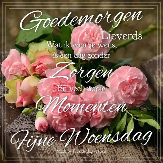 Tekst met een liefdevolle boodschap en rozen in de achtergrond.