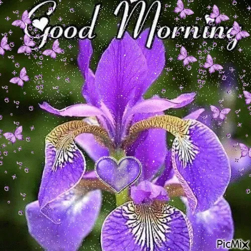 Paarse iris met vlinders en "Good Morning" tekst op een fonkelende achtergrond.