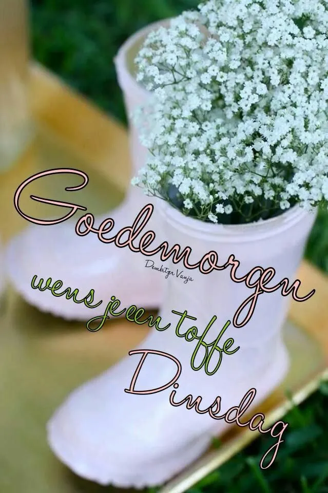 ᐅ goedemorgen dinsdag - Dinsdag plaatjes ᐅ goedemorgen dinsdag - Dinsdag plaatjes