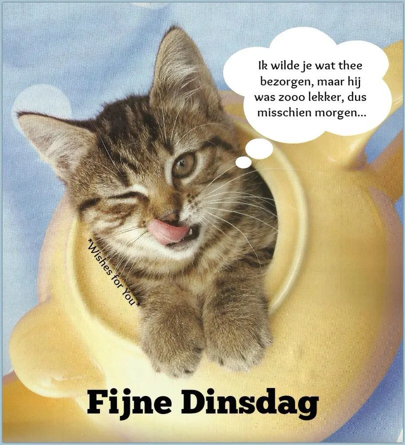 ᐅ goedemorgen dinsdag - Dinsdag plaatjes ᐅ goedemorgen dinsdag - Dinsdag plaatjes