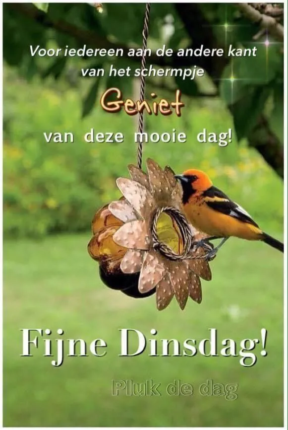 ᐅ goedemorgen dinsdag - Dinsdag plaatjes ᐅ goedemorgen dinsdag - Dinsdag plaatjes