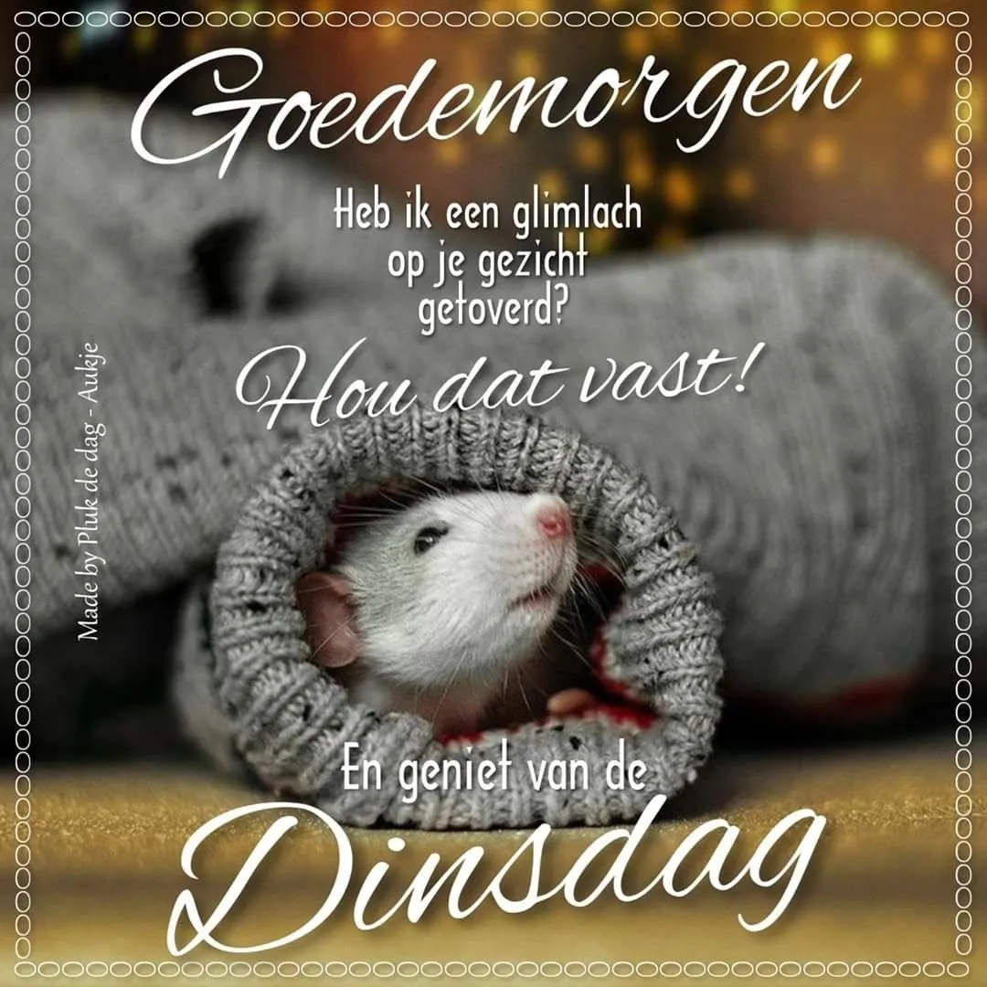 ᐅ goedemorgen dinsdag - Dinsdag plaatjes ᐅ goedemorgen dinsdag - Dinsdag plaatjes
