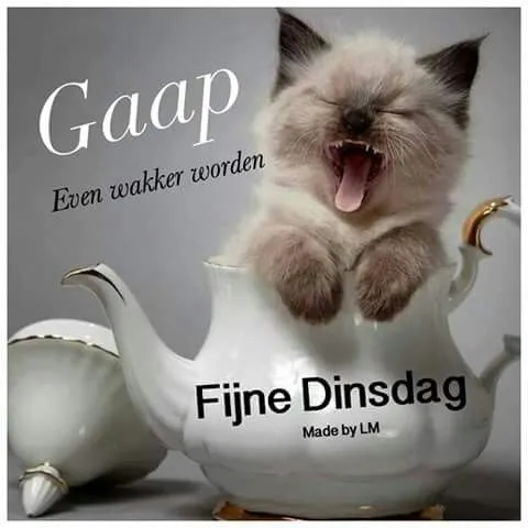 ᐅ goedemorgen dinsdag - Dinsdag plaatjes ᐅ goedemorgen dinsdag - Dinsdag plaatjes