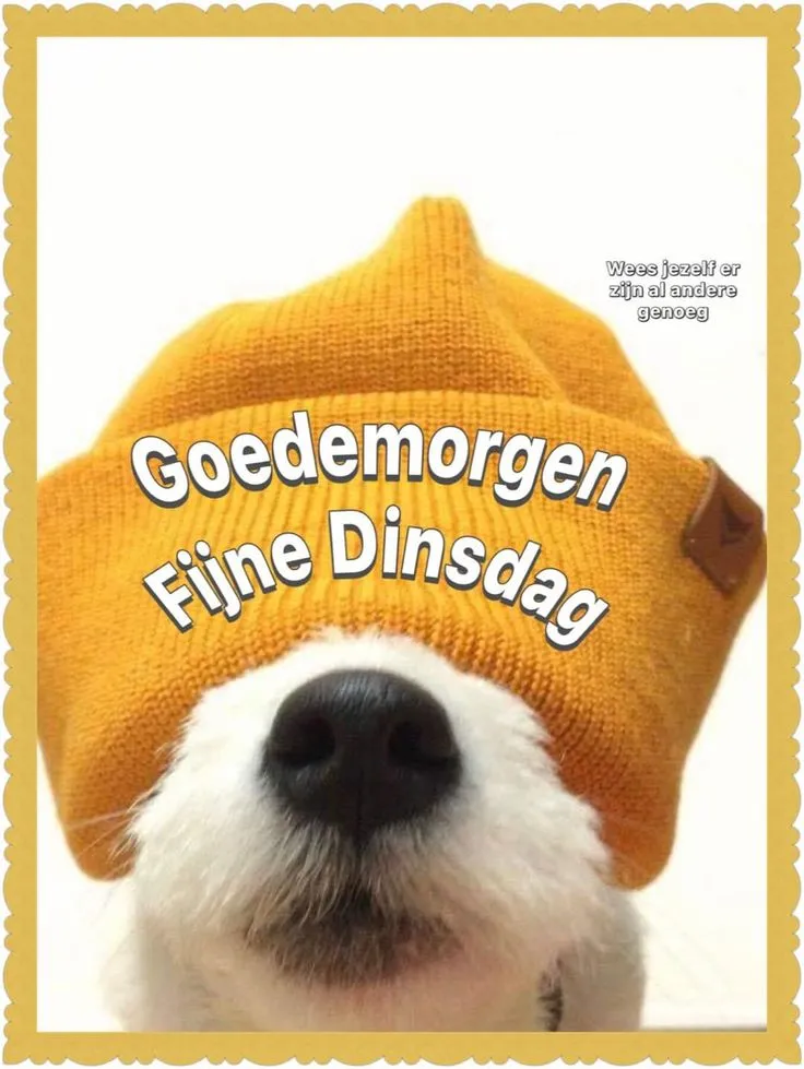 ᐅ goedemorgen dinsdag - Dinsdag plaatjes ᐅ goedemorgen dinsdag - Dinsdag plaatjes