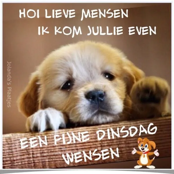 ᐅ goedemorgen dinsdag - Dinsdag plaatjes ᐅ goedemorgen dinsdag - Dinsdag plaatjes