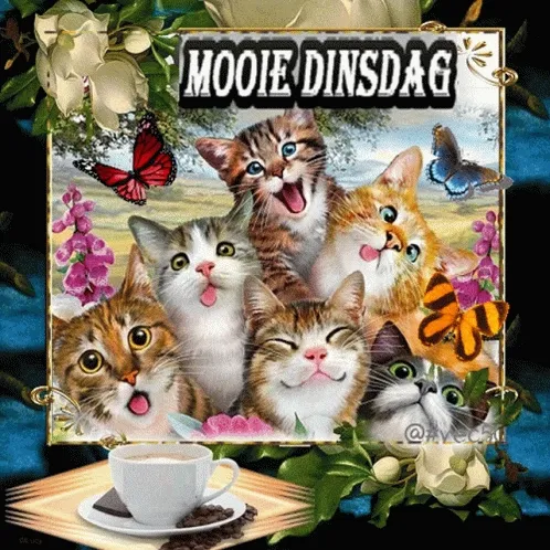 ᐅ goedemorgen dinsdag gif - Dinsdag plaatjes