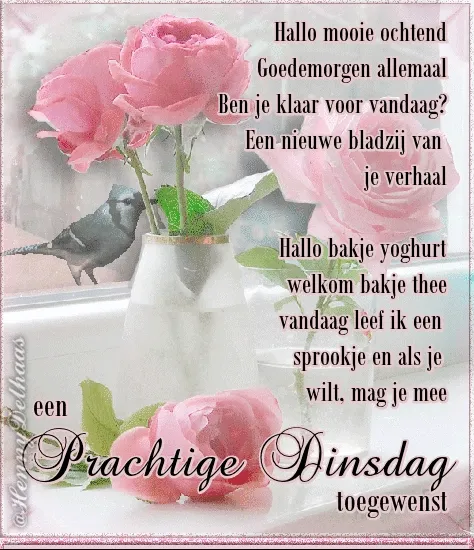 ᐅ goedemorgen dinsdag gif - Dinsdag plaatjes