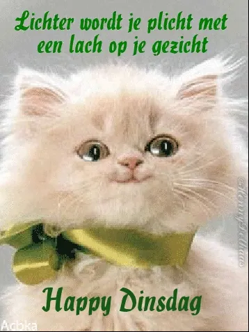 ᐅ goedemorgen dinsdag gif - Dinsdag plaatjes