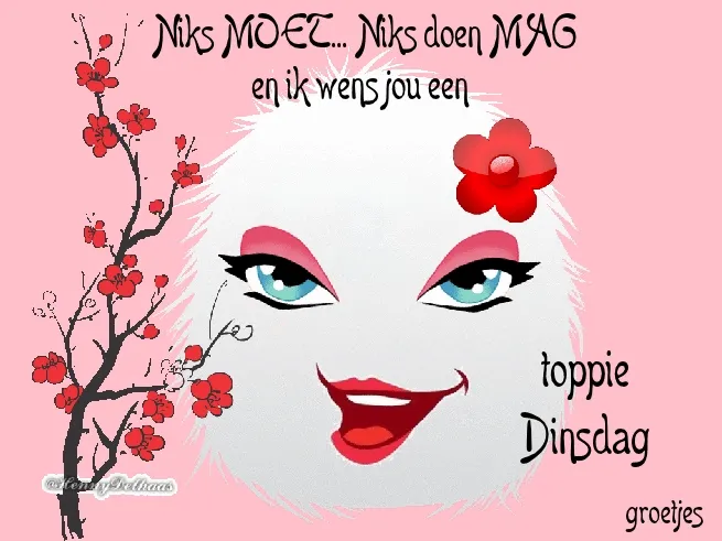 ᐅ goedemorgen dinsdag gif - Dinsdag plaatjes