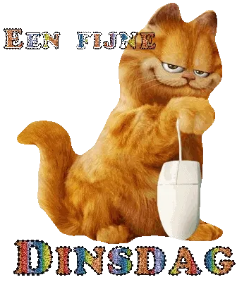 ᐅ goedemorgen dinsdag gif - Dinsdag plaatjes