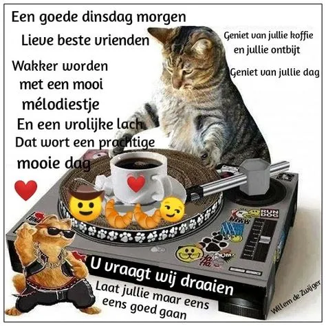 ᐅ goedemorgen dinsdag grappig - Dinsdag plaatjes