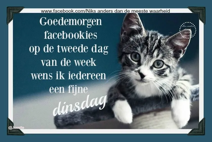 ᐅ goedemorgen dinsdag grappig - Dinsdag plaatjes