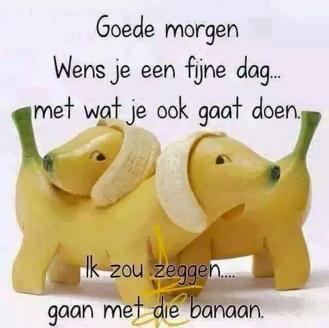 ᐅ goedemorgen dinsdag grappig - Dinsdag plaatjes