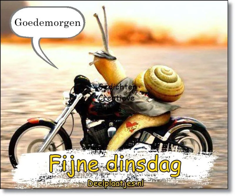 ᐅ goedemorgen dinsdag grappig - Dinsdag plaatjes