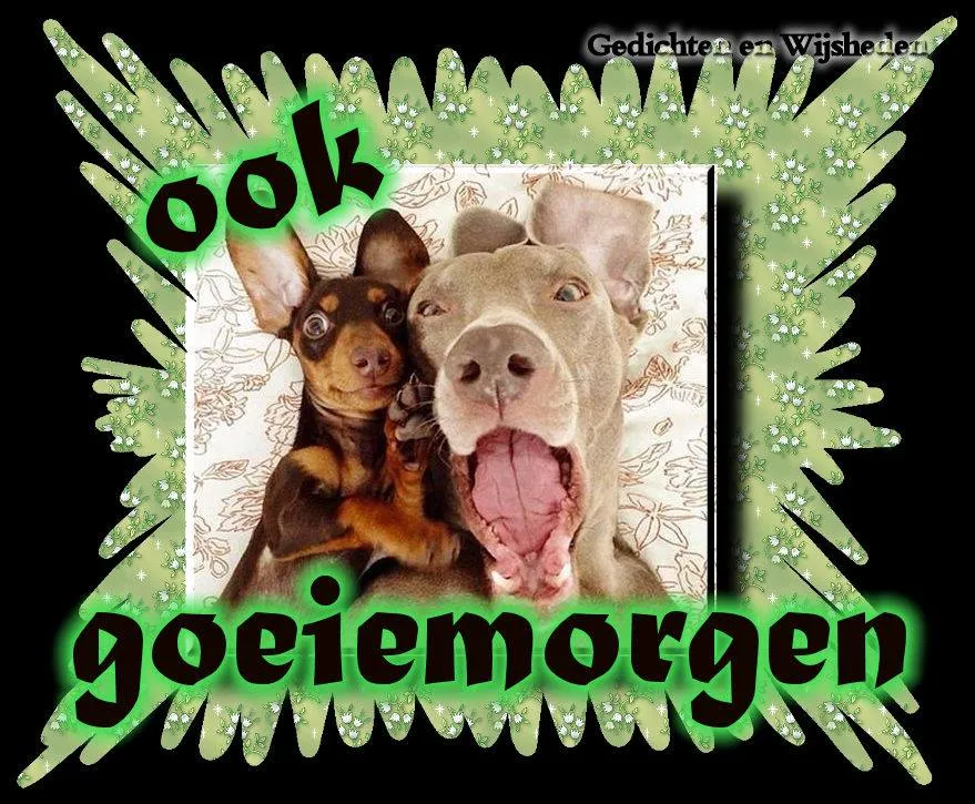 ᐅ goedemorgen dinsdag grappig - Dinsdag plaatjes