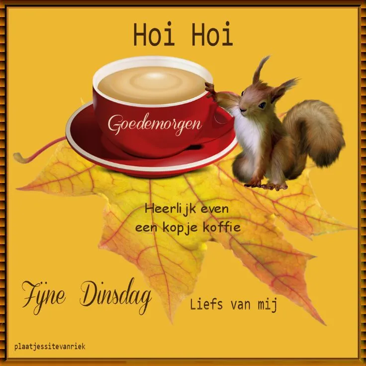 ᐅ goedemorgen dinsdag grappig - Dinsdag plaatjes