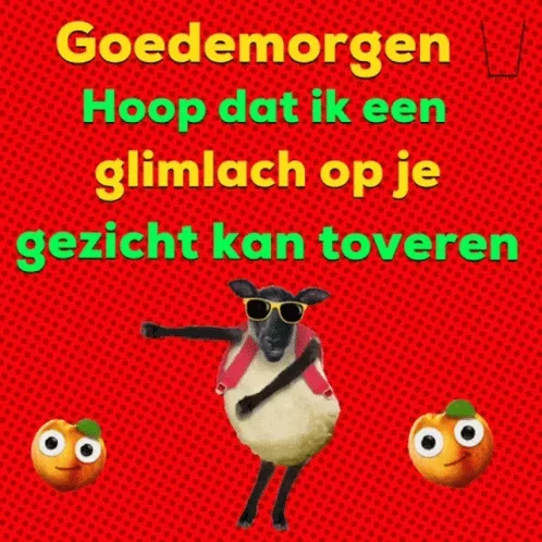 ᐅ goedemorgen dinsdag grappig - Dinsdag plaatjes