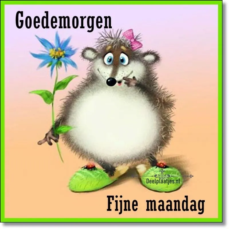 ᐅ goedemorgen dinsdag grappig - Dinsdag plaatjes