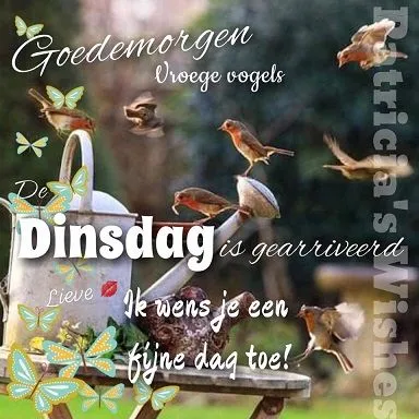 ᐅ goedemorgen dinsdag grappig - Dinsdag plaatjes