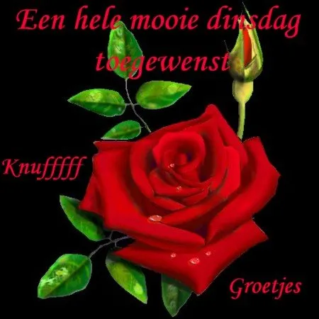 ᐅ goedemorgen dinsdag grappig - Dinsdag plaatjes