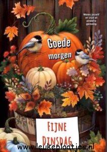 goedemorgen dinsdag herfst