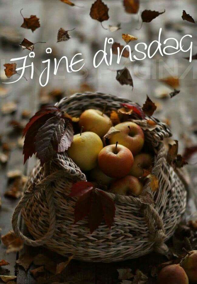 ᐅ goedemorgen dinsdag herfst - Dinsdag plaatjes