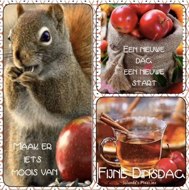 ᐅ goedemorgen dinsdag herfst - Dinsdag plaatjes