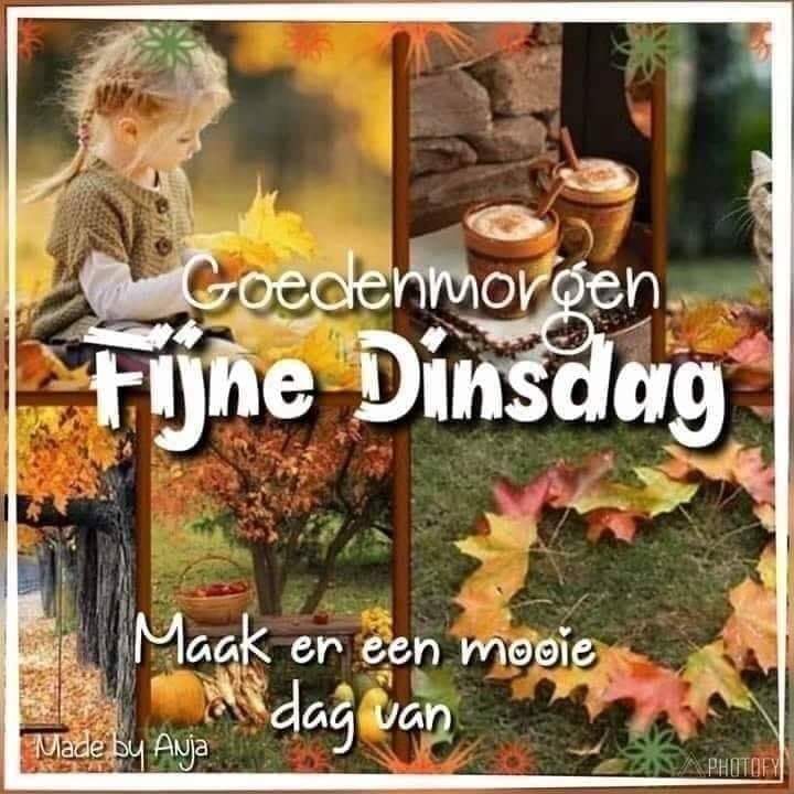 ᐅ goedemorgen dinsdag herfst - Dinsdag plaatjes