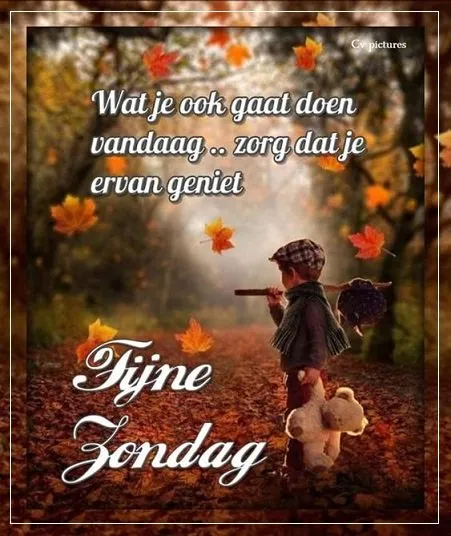 ᐅ goedemorgen dinsdag herfst - Dinsdag plaatjes