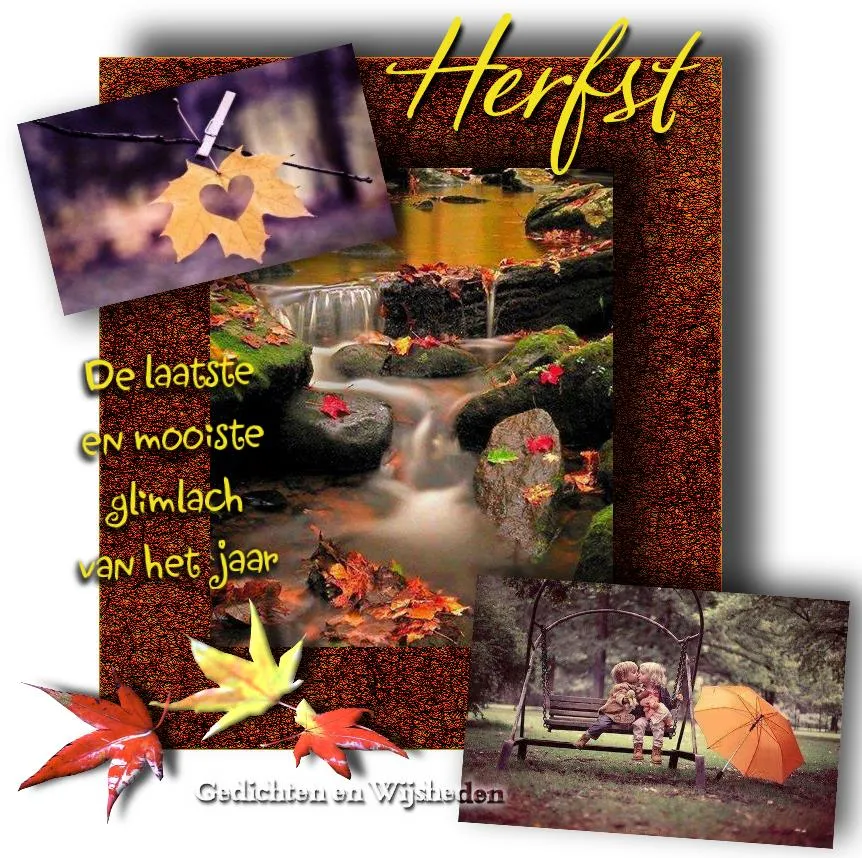ᐅ goedemorgen dinsdag herfst - Dinsdag plaatjes