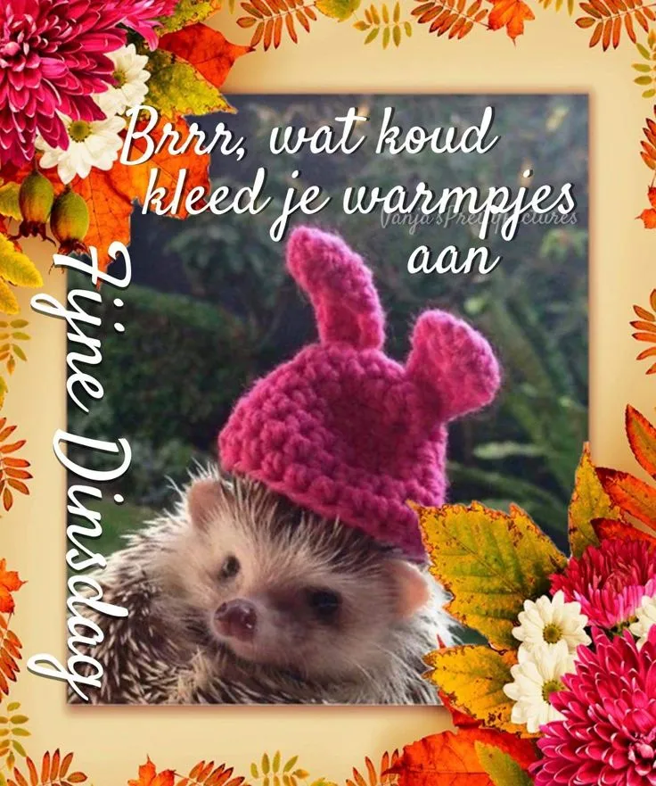 ᐅ goedemorgen dinsdag herfst - Dinsdag plaatjes